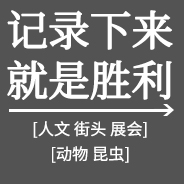 記錄下來(lái)就是勝利 團隊展示11