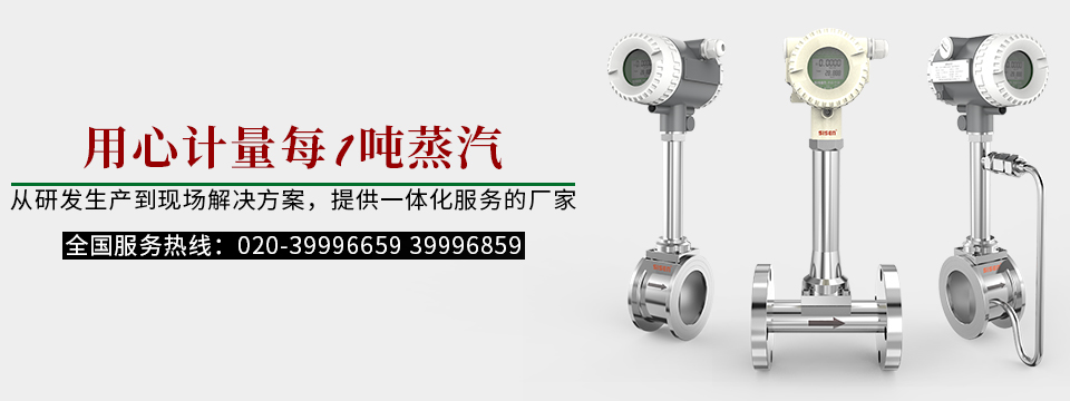 蒸汽流量計